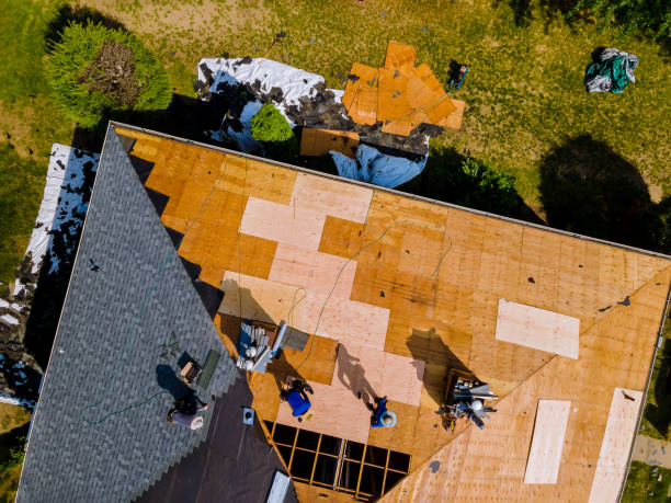 Best Roof Maintenance Services  in Flora, AL