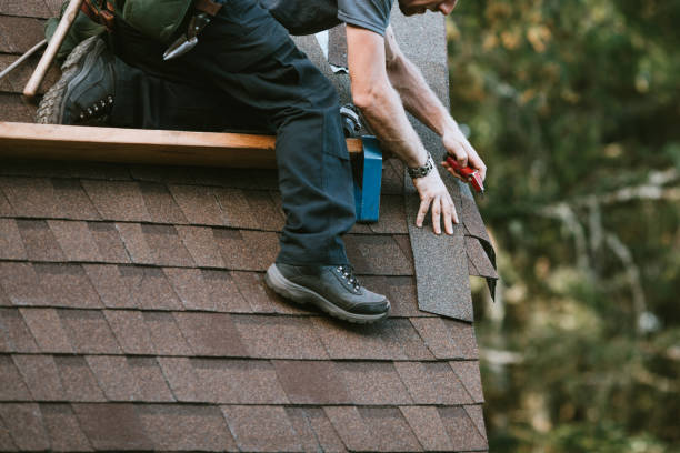 Best New Roof Installation  in Flora, AL
